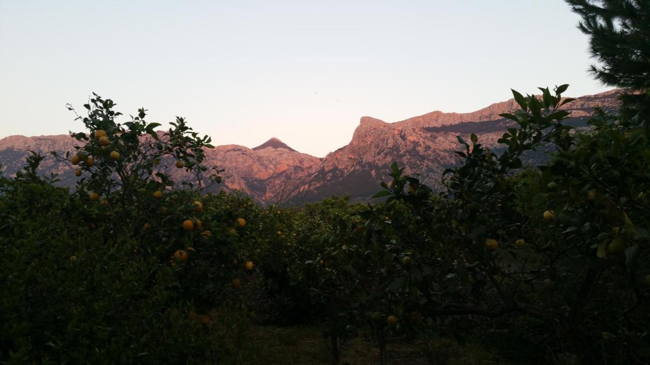 Es Campet, Charmante Finca, Soller, Vue Splendide, Piscine Recente, Calme Soller
